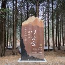 남해편백자연휴양림(남해) 이미지