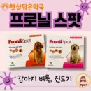 햇살담은약국 이미지