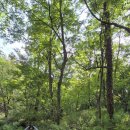 달빛공원(공원입구 좌측) 이미지