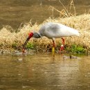율곡천 2 이미지