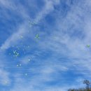 동그라미어린이집 이미지