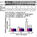 술플러스 이미지