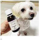 이쁘다 멍 이미지