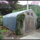 여량면 테니스장 네이버블로그