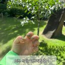 잇츠 | [내돈내산] 세부 막탄 잇츠네일 it's nail 솔직후기