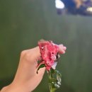 크리스마스 파인다이닝 방이동 이탈리안 레스토랑 조르노에노떼