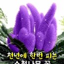 안녕, 커피 이미지