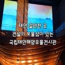 태안 아이와 가볼만한곳 국립태안해양유물전시관