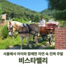 재미있는 이야기 속 내 마음 그리기 | 서울 아이랑 비스타밸리 체험 후기 말 먹이주기부터 벽화 그리기까지 알찬 주말 나들이