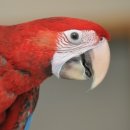 금강야채과일 이미지