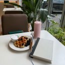 북카페 청마루 | 동대문 카페, 답십리 넛지스 북카페 크로플 맛집 @양귀자 모순 책 후기