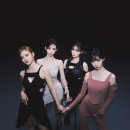 미니멀새비지