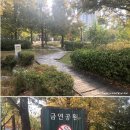 손바닥공원 농구장 이미지