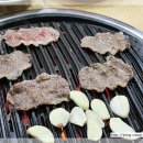 알파카프라자 이미지