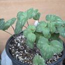 우산행정사 사무소 이미지