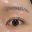 베르미의원 | [눈썹문신] "베르미의원" 눈썹 문신 후기, 통증, 탈각 과정 내돈내산 후기