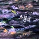 보리상사 네이버블로그