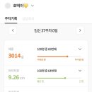 검사울 이미지