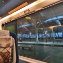 더(The)딱카(구. 제임스싸가지) | 5일 1일차/수완나품공항/프롬퐁가성비호텔/ 세인트제임스호텔/커스타드나까무라/카룬타이티/부츠/고메...