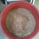 태은농장 이미지