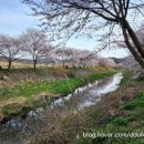 순성농협 하나로마트 이미지