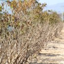 목단농장 이미지