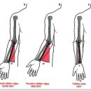 퍼스널 트레이닝 봉담 이미지