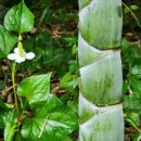 금밭 농장 이미지