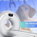 아이유동물메디컬센터 이미지