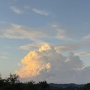 기프트퀸 | 다낭·호이안 여행(1) : 레거시 호이안 리조트 & 레오스파·블루기프트 스파 솔직후기