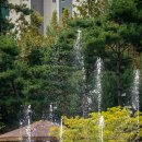 호매실천 이미지