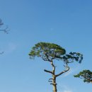 화원유원지 이미지