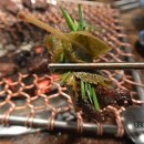 마약고기 이미지