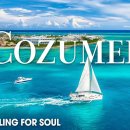 COZUMEL NATURE in 4K UHD Drone Film + Relaxing Piano Music for Stress Relie 이미지