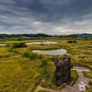 부평생태습지[부평-5] | [인천 남동구] 소래습지생태공원 - 전 견종 가능 · 맹견 입마개 · 목줄 착용 · 배변봉투 지참