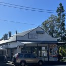 션샤인캣 이미지