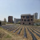 능동농장 이미지