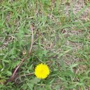 구암손두부 이미지