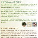 [펌] 천연쉐어버터 아프리카 가난한 그들에게도 새 삶이라는 희망의 끈은 있습니다 이미지