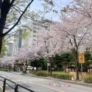 세린 당구장 | 4월 둘째주