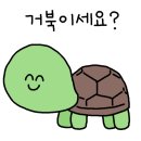 내 꿈은 거북이_유데미x스나이퍼팩토리 콘텐츠디자인 인턴형 프로그램 1기