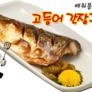 어머니와고등어 Daum카페