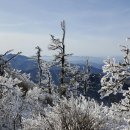 경희남정우한의원 이미지