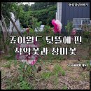 죠이월드 이미지