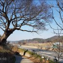 이기원 정려 이미지