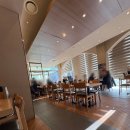 골든카츠 | [강남 역삼 맛집] 사보텐 시그니처 골든카츠 후기! 인생 돈까스를 만나다 (사보텐 아워홈빌딩점)