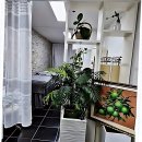 한성대학교 일반대학원 | 신촌에서 인생 속눈썹 찾았다! 미뷰티라인 방문 후기 털어봄