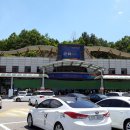 나드리김밥신대부적점 이미지