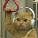 도청로89번길 이미지