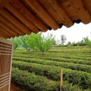 문창농장 이미지